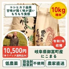 令和7年収穫 岐阜県御嵩町産 にこまる 精米10kg 低農薬 令和7年収穫 岐阜県御嵩町産 にこまる 精米10kg 低農薬 - メルカリ