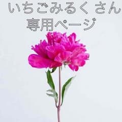 いちごみるく 様 専用のサムネイル