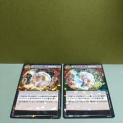 調整可能　イジンデン　6弾　ヒエロスガモス　11枚セット　メルカリ便　ダイソー イジンデンカード ヒエロスガモス - メルカリ