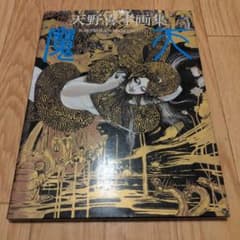 天野喜孝画集 魔天のサムネイル