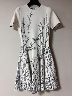 Alexander McQUEEN 刺繍ワンピース 美品 高級 - メルカリ