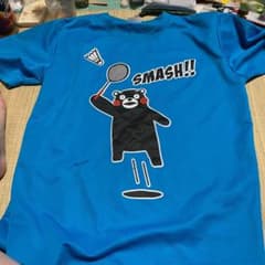 一度袖を通したTシャツです。この季節にピッタリです。洗濯しました。よろしく。のサムネイル