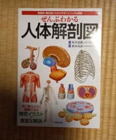 ぜんぶわかる人体解剖図 : 系統別・部位別にわかりやすくビジュアル解説のサムネイル