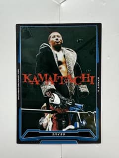 高橋ヒロム カマイタチカード キングオブプロレスリング　WWE BAKUSAIのサムネイル