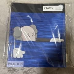 UNIQLO KAWS ART BOOKのサムネイル
