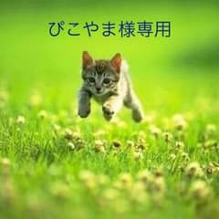 [ぴこやま様専用]一番くじ弱虫ペダル 巻島裕介 きゅんキャラ ※箱潰れありのサムネイル