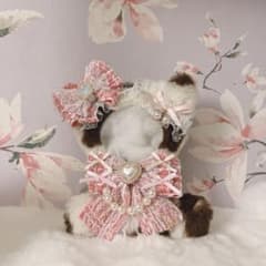 おすわりぬい服ちびぐるみ猫耳 - メルカリ