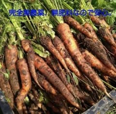 自然栽培　人参B品込　10キロ　無農薬　無肥料のサムネイル