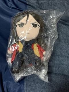 FGO gift ぬいぐるみ 諸葛孔明　エルメロイII世のサムネイル