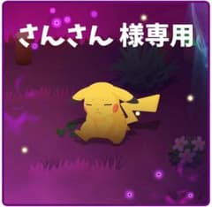 さんさん 様専用のサムネイル