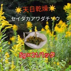 乾燥 穂先 セイタカアワダチソウ  パック入り 浴剤 かゆみ 温浴  ドライのサムネイル