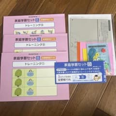 ばっちりくんドリル 家庭学習セットB トレーニング 制作キット付 理英