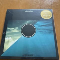 サカナクション『sakanaction』アナログレコード 2枚組 - メルカリ