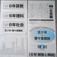 五ツ木・進々堂模試 小6 2025年第2回＆第3回 過去問 - メルカリ