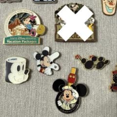 ディズニー ピンバッジ ミッキー ミニー ピントレ 海外ディズニー