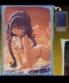 ロキシー・ミグルディア クッション 「無職転生II ～異世界行ったら本気だす～」