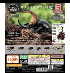 いきもの大図鑑　かぶとむし05のサムネイル