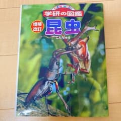 ニューワイド　学研の図鑑　昆虫　こんちゅう　増補改定