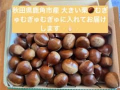 生栗 無添加 大自然秋田県鹿角市産 大きい栗のサムネイル
