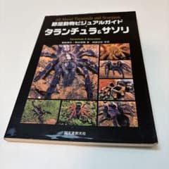 節足動物ビジュアルガイド タランチュラ&サソリ クリーパー ビバリウム