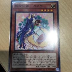 カグヤ＋αのサムネイル