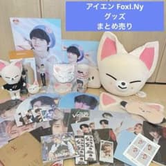 【写真追加！バラ売り不可】StrayKids グッズ まとめ売り Stray Kids | Info