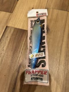 ATLANTIS FLAPPER 170F-60のサムネイル