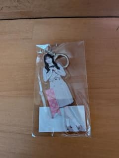 개별 전신 아크릴 키 홀더/비리야니 아타고 심향 [미개봉품]