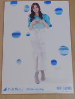 乃木坂46 金川紗耶 2026年 福袋 カレンダー衣装 生写真 ヒキ - メルカリ