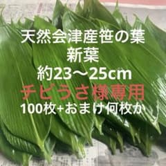 天然会津産笹の葉 100枚+おまけ何枚かのサムネイル