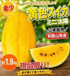 ヤトッチ　ミニ黄色スイカセット 黄色スイカ ミニ太陽 約1.9kg 希少品種 現品限り ご家庭用 和歌山県産