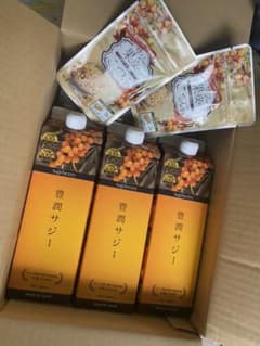 フィネス 豊潤サジー 1000mlのサムネイル