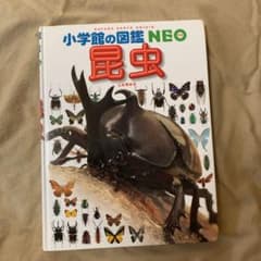 昆虫のサムネイル