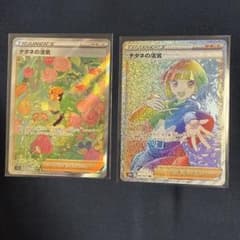 ポケモンカード ナタネの活気 SAR HRのサムネイル