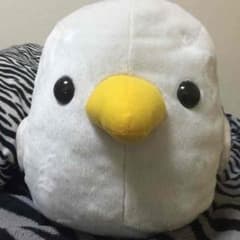 小鳥隊 ぬいぐるみのサムネイル
