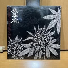 ADKレコードMASTURBATION マスターベーション　中村達也　１２インチ ADKレコードMASTURBATION マスターベーション 中村達也 12インチ