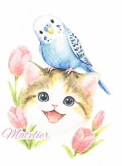 セキセイインコの絵　子猫の絵　水彩画　原画　癒し　動物の絵のサムネイル