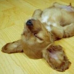 ♡つくしんぼ様専用♡のサムネイル