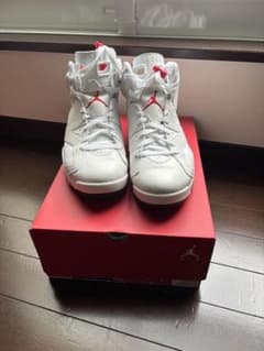 Air Jordan 6 レトロのサムネイル