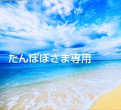たんぽぽさま専用です(⁠人⁠ ⁠•͈⁠ᴗ⁠•͈⁠)のサムネイル