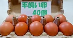 源さんの平飼い卵.M〜2L40個10個入り4パック 朝採れ新鮮 常温発送 