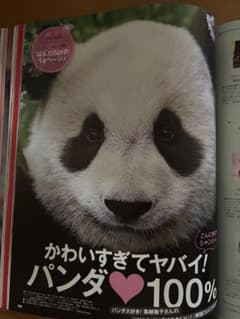 ☆シャンシャン16P大特集 - メルカリ