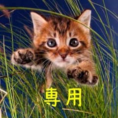 ともさん専用フェアアイル柄ニットベスト(シャツは付きません)のサムネイル
