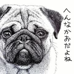 ボールペン画 パグ143【ドローイング 原画 絵画 イラスト 犬の絵