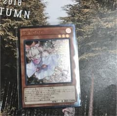 遊戯王 浮幽さくら はるうらら 灰流うらら しめし様専用のサムネイル