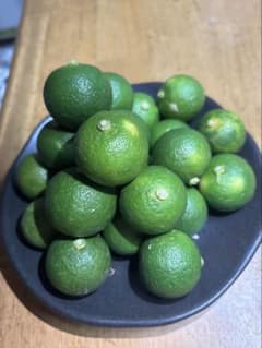 すだち 20個 徳島県産のサムネイル