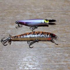 アンサーとライザーベイトのセットのサムネイル