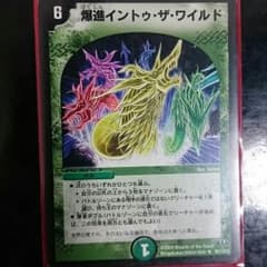 デュエルマスターズ　爆進イントゥザワイルドのサムネイル