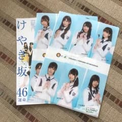 けやき坂46ドキュメントBRODY   CoCo壱クリアファイル×2のサムネイル