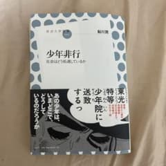 少年非行 社会はどう処遇しているかのサムネイル